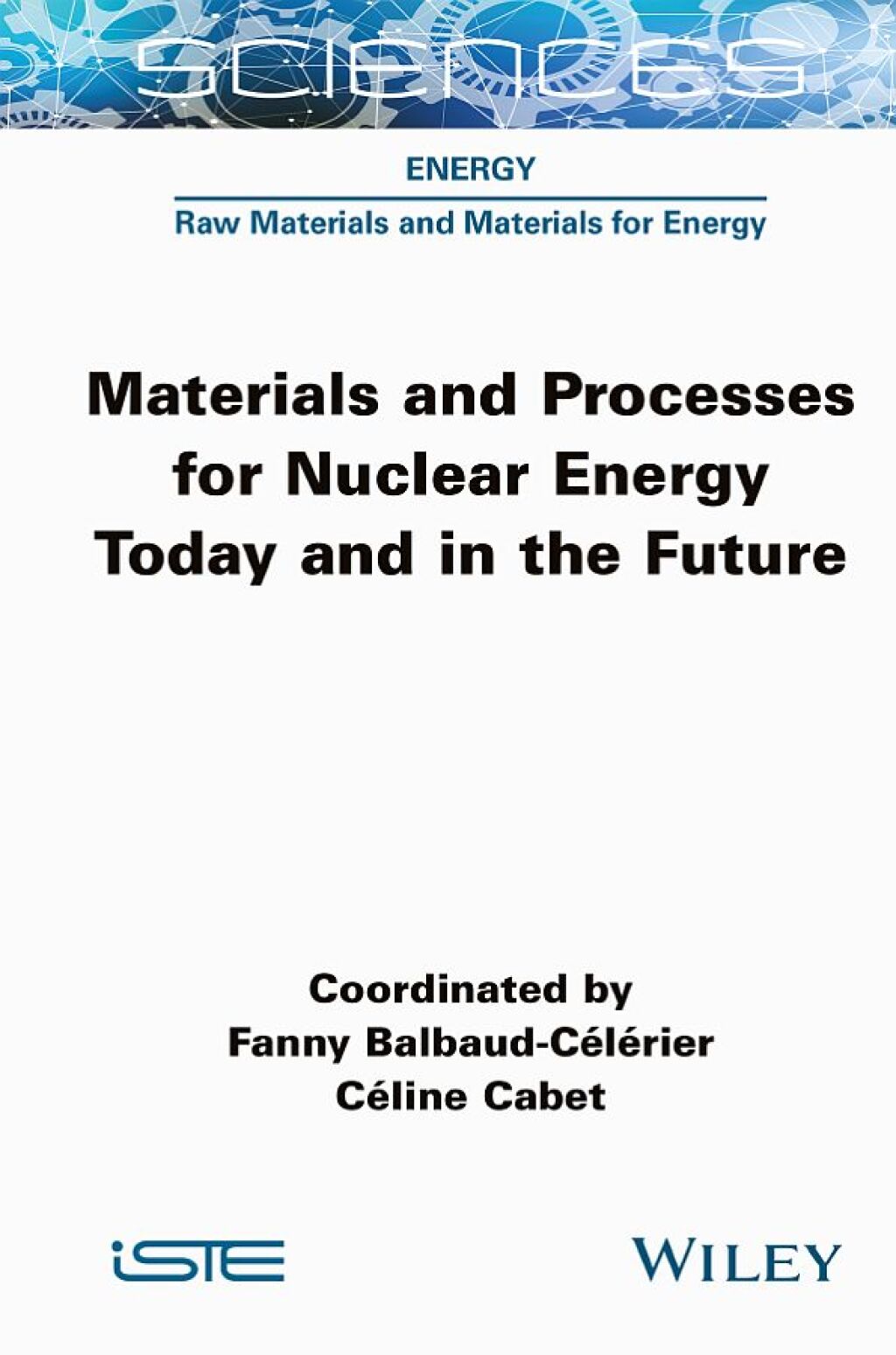 Materials and Processes for Nuclear Energy Today and in the Future 1st Edition