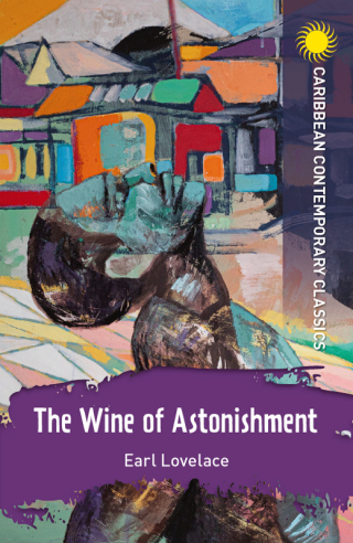 Cover image: The Wine of Astonishment 9781398340480