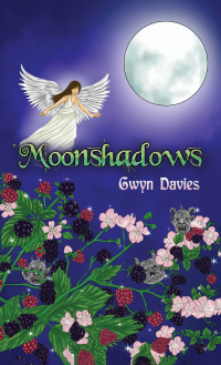 Cover image: Moonshadows 9781398413931