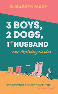Cover image: 3 Boys, 2 Dogs, 1 (Ex) Husband and Absolutely No Idea 9781398423435