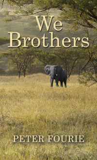 Cover image: We Brothers 9781398427426