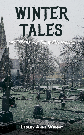 Omslagafbeelding: Winter Tales 9781398428379