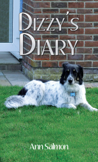 Titelbild: Dizzy's Diary 9781398439979
