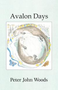 表紙画像: Avalon Days 9781398451902