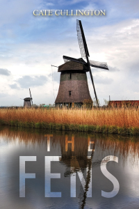 Cover image: The Fens 9781398453104