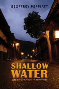 Cover image: Shallow Water 9781398453333