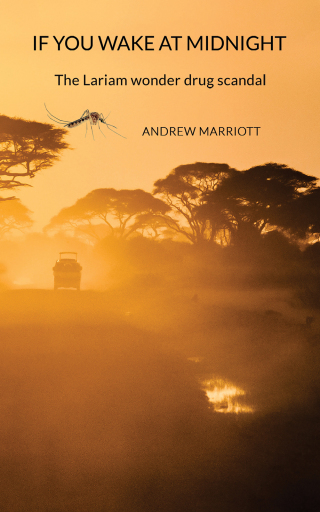 Cover image: If You Wake at Midnight 9781398454538