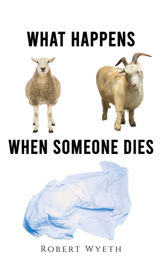Cover image: What Happens When Someone Dies 9781398466333