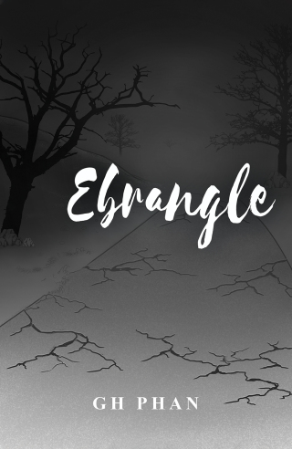 Imagen de portada: Ebrangle 9781398466623