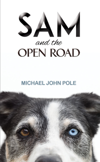 Cover image: Sam and the Open Road 9781398470927