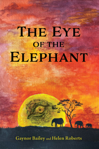 表紙画像: The Eye of the Elephant 9781398471580