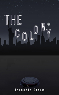 Cover image: The Colony 9781398473867