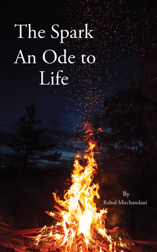 Cover image: The Spark: An Ode to Life 9781398473881