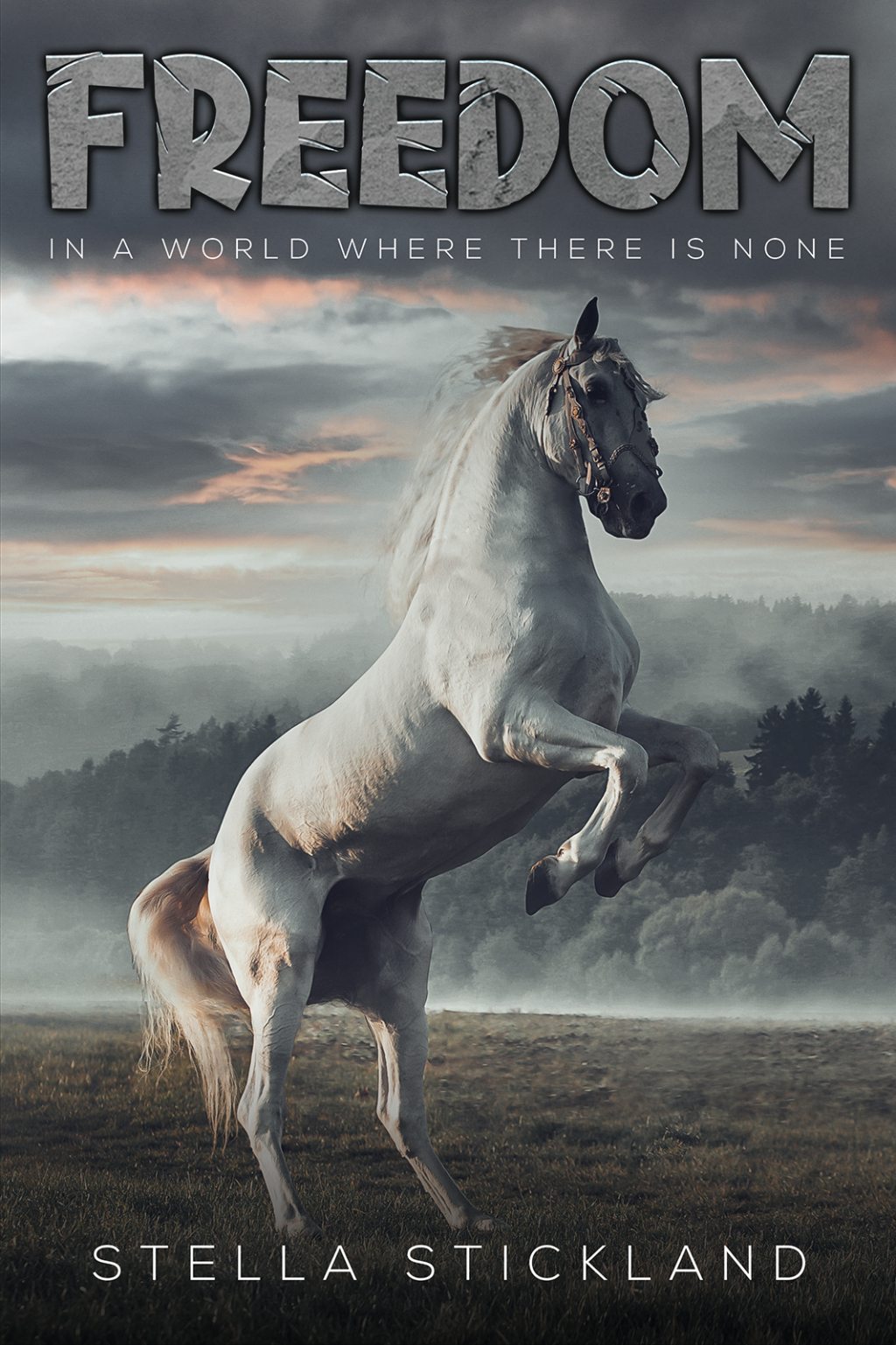 Freedom In a World Where There is None