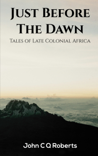 Imagen de portada: Just Before the Dawn 9781398485402