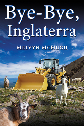 Cover image: Bye-Bye, Inglaterra 9781398487796