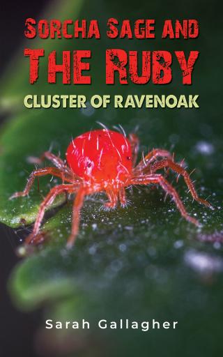 Cover image: Sorcha Sage and the Ruby Cluster of Ravenoak 9781398488656
