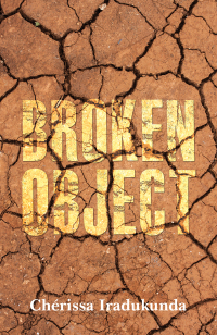 Imagen de portada: Broken Object 9781398490116