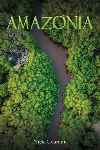 Imagen de portada: Amazonia 9781398491984