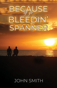 Cover image: Because of Ye Bleedin' Spanner 9781398495050