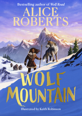 Cover image: Wolf Mountain 9781398521377