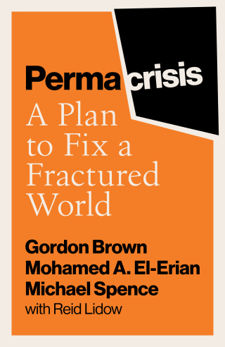 Cover image: Permacrisis 9781398525641