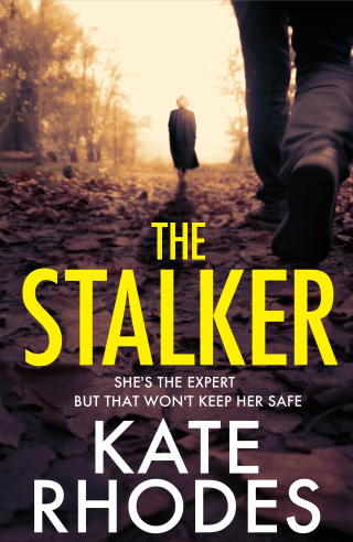 Cover image: The Stalker 9781398529335