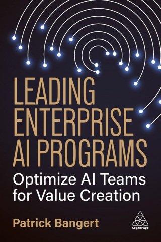 Cover image: Leading Enterprise AI Programs 1st edition 9781398623194