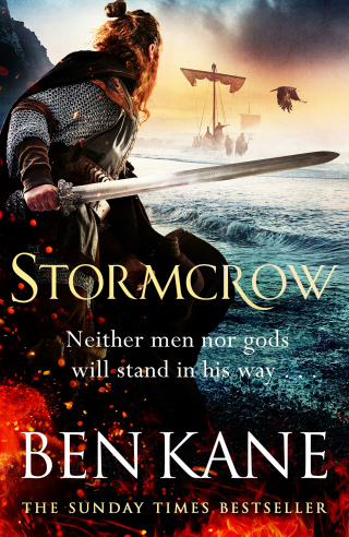 Cover image: Stormcrow 9781398714601