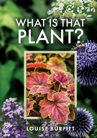 Cover image: What is that Plant? 9781399006163