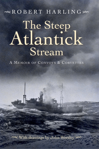 Immagine di copertina: The Steep Atlantick Stream 9781399072892
