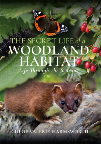 表紙画像: The Secret Life of a Woodland Habitat 9781399093347