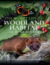 صورة الغلاف: The Secret Life of a Woodland Habitat 9781399093347