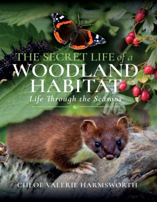 Cover image: The Secret Life of a Woodland Habitat 9781399093347