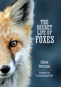 Immagine di copertina: The Secret Life of Foxes 9781399093392