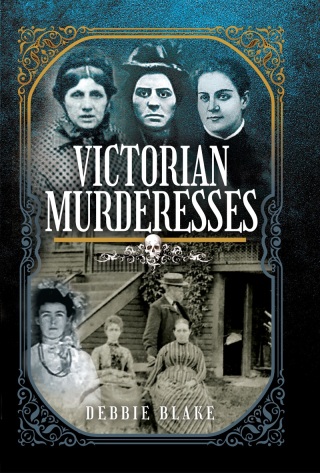 表紙画像: Victorian Murderesses 9781399094511
