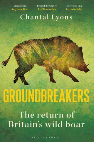 Cover image: Groundbreakers 1st edition 9781399423991