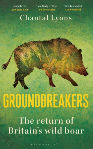 Cover image: Groundbreakers 1st edition 9781399423991