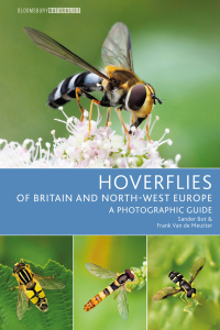 Cover image: Hoverflies of Britain and North-west Europe 1st edition 9781399402453