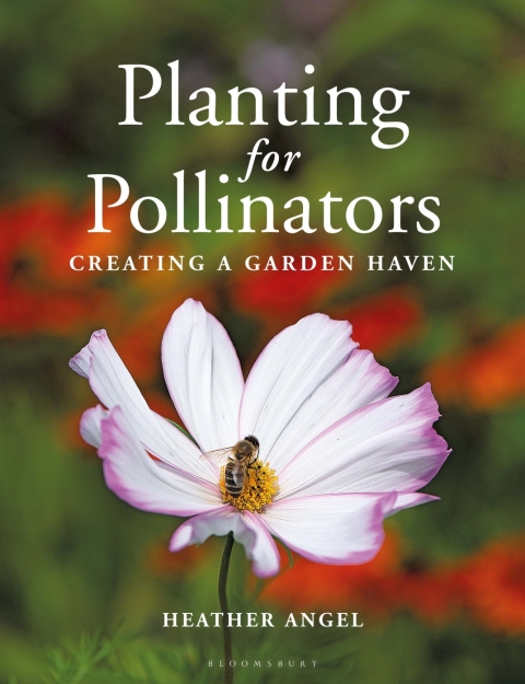Planting for Pollinators: Creating a Garden Haven, 1st Edition - FULL INSTANT DOWNLOAD | PDF DOCX EPUB