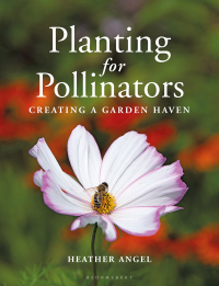 Cover image: Planting for Pollinators 1st edition 9781399403023