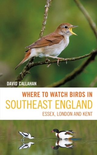 Immagine di copertina: Where to Watch Birds in Southeast England 1st edition 9781399403603