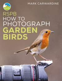 表紙画像: RSPB How to Photograph Garden Birds 1st edition 9781399404549