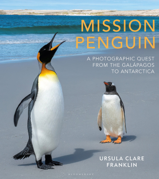 Cover image: Mission Penguin 1st edition 9781399404679
