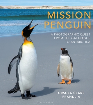 Cover image: Mission Penguin 1st edition 9781399404679