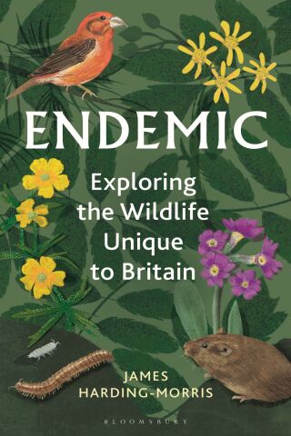 Cover image: Endemic 1st edition 9781399405676