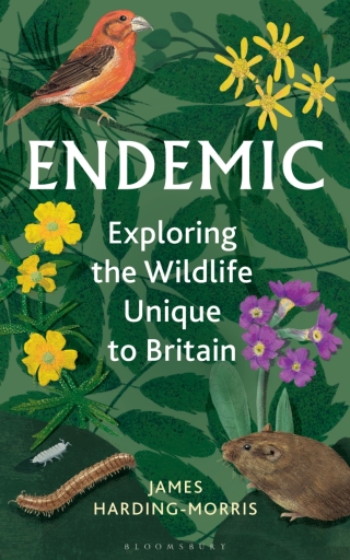 Cover image: Endemic 1st edition 9781399405676