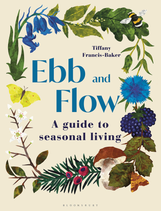Cover image: Ebb and Flow 1st edition 9781399405744