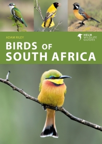 صورة الغلاف: Birds of South Africa 1st edition 9781472990808