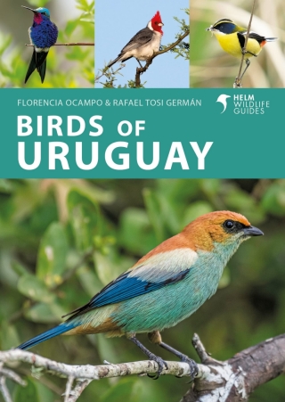 Cover image: Birds of Uruguay 1st edition 9781399406734